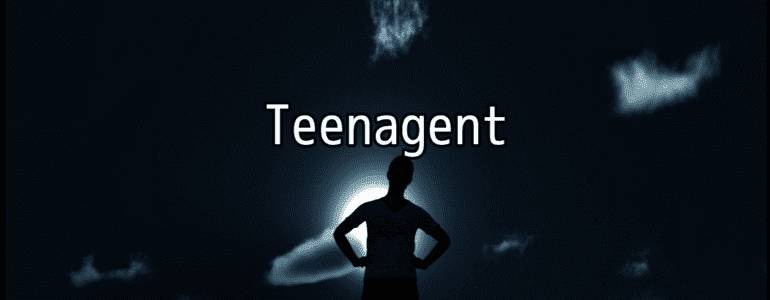Teenagent adult sex game