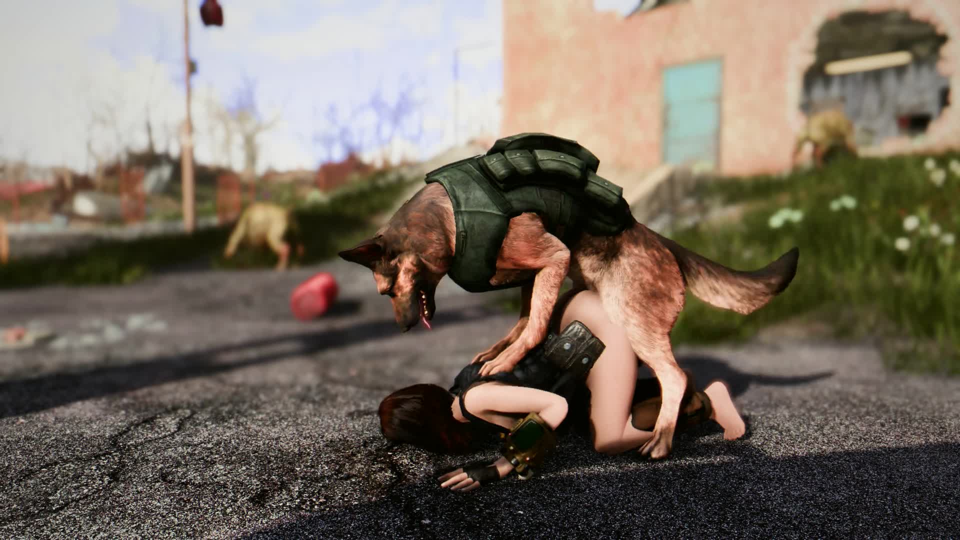 1920px x 1080px - Fallout 4 Dogmeat 1girl Animated - Lewd.ninja