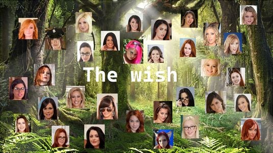 The Wish adult sex game