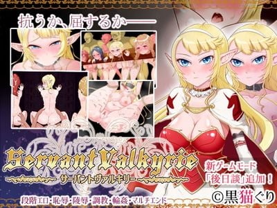 Servant Valkyrie
