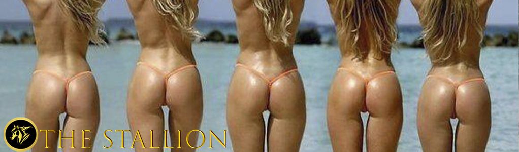 The Stallion adult sex game