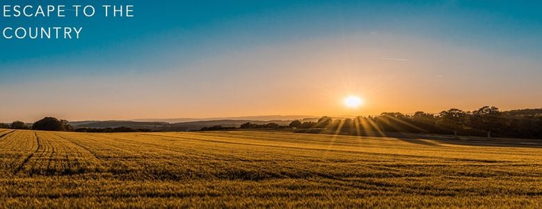 Escape to the Country adult sex game