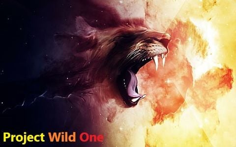 Project Wild One adult sex game