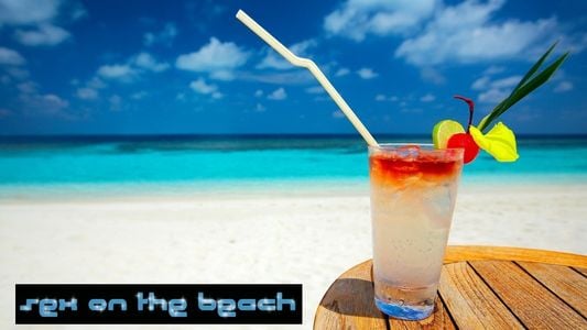 Sex on the Beach adult sex game