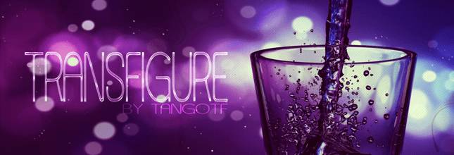 Transfigure adult sex game