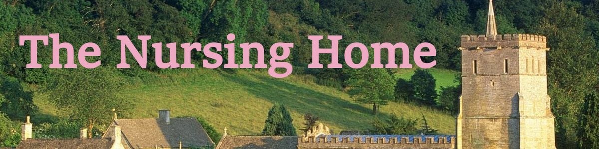The Nursing Home adult sex game