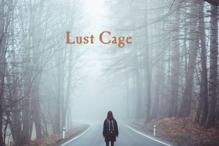 Lust Cage adult sex game
