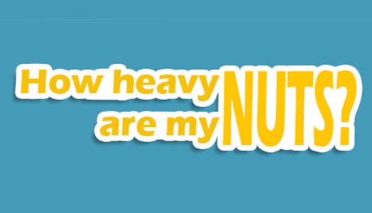 How Heavy Are My Nuts? adult sex game