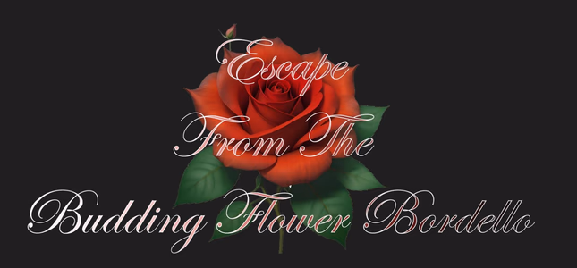 Escape from the Budding Flower Bordello adult sex game