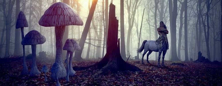 Beast Companions adult sex game