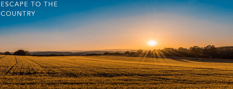 Escape to the Country adult sex game