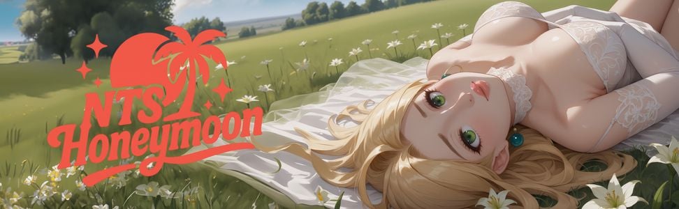 NTS Honeymoon adult sex game