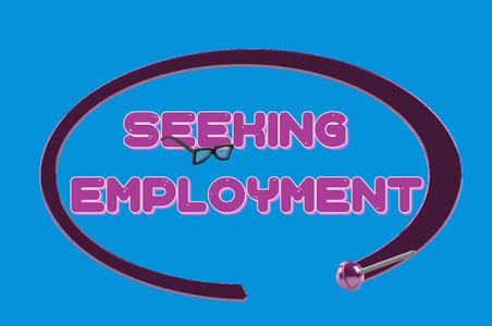 Seeking Employment adult sex game