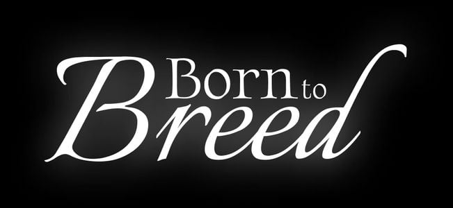 Born to Breed adult sex game