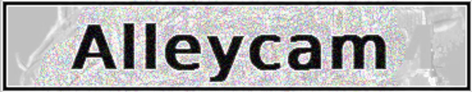 Alleycam adult sex game