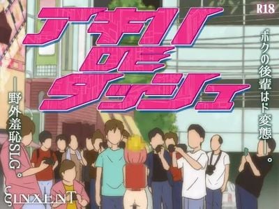 Akihabara ZR-4 adult sex game