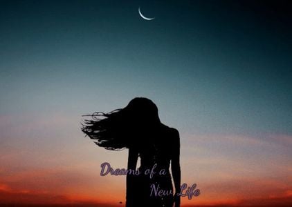 Dreams of a New Life adult sex game