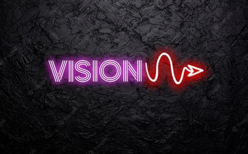 VISION adult sex game