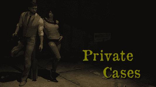 Private Cases - Case#2 adult sex game