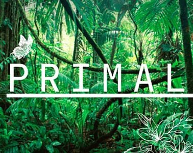 Primal adult sex game