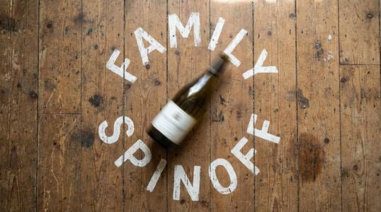 Family Spinoff adult sex game