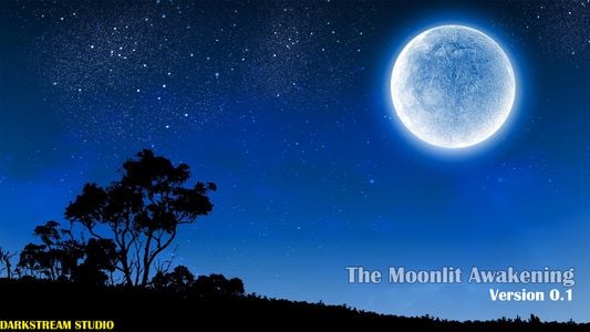 The Moonlit Awakening adult sex game
