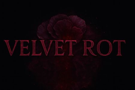 Velvet Rot секс игры для взрослых