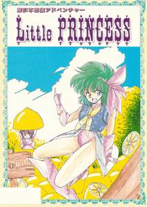 Little Princess adult sex game