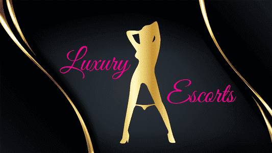 Luxury Escorts adult sex game
