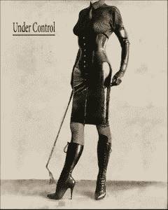 Under Control adult sex game