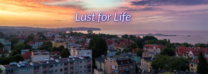 Lust for Life adult sex game