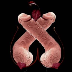 Sluts of Battle adult sex game