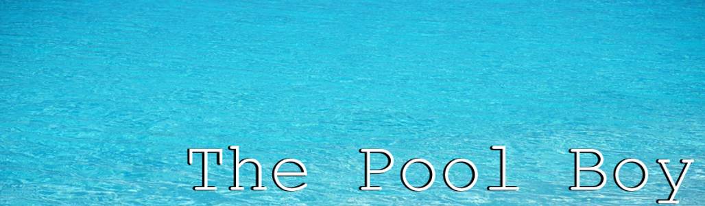 The Pool Boy adult sex game