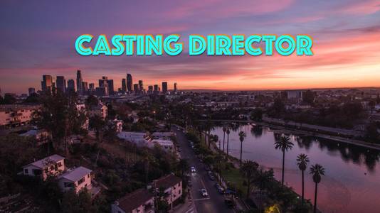 Casting Director adult sex game