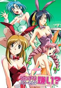 Do You Like Horny Bunnies? adult sex game