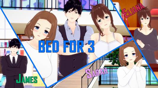Bed for 3 adult sex game