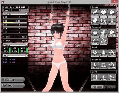 Sealed Room Breed 2 adult sex game
